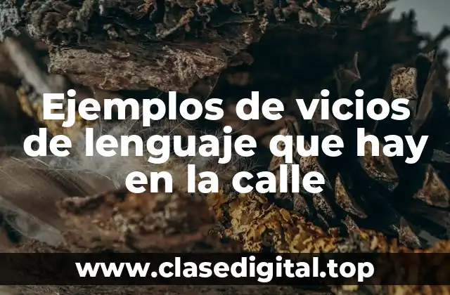 Ejemplos de vicios de lenguaje que hay en la calle