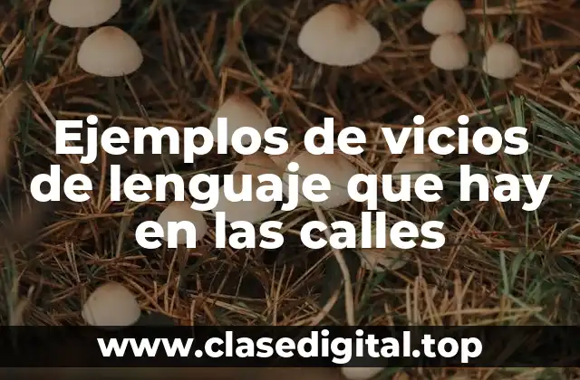 Ejemplos de vicios de lenguaje que hay en las calles