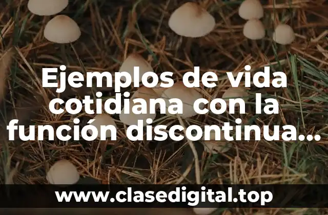 Ejemplos de vida cotidiana con la función discontinua
