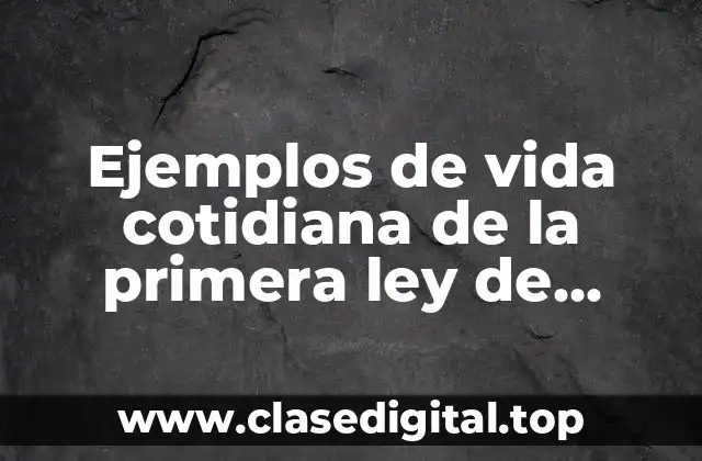 Ejemplos de vida cotidiana de la primera ley de Newton