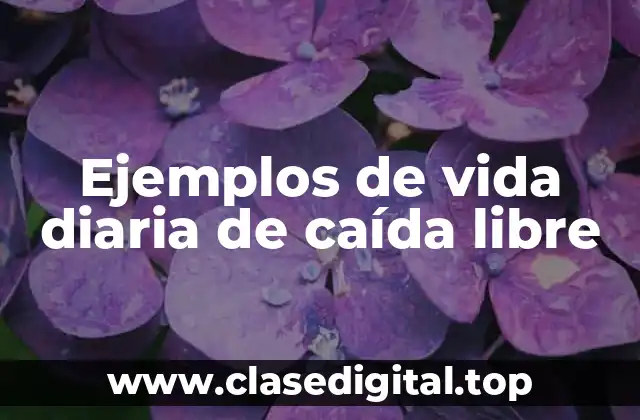 Ejemplos de vida diaria de caída libre