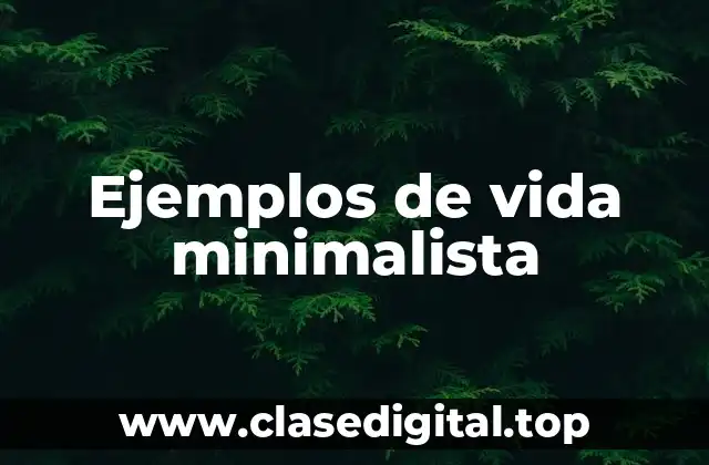 Ejemplos de vida minimalista
