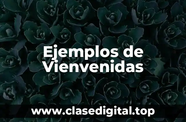 Ejemplos de Vienvenidas