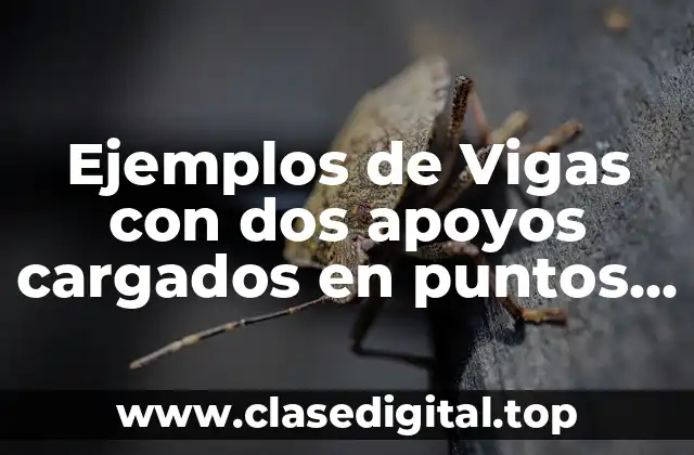 Ejemplos de Vigas con dos apoyos cargados en puntos cantilever