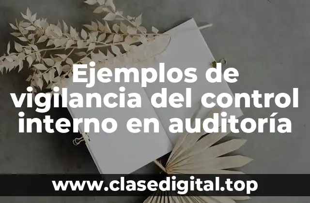Ejemplos de vigilancia del control interno en auditoría