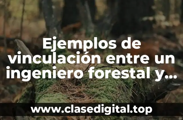 Ejemplos de vinculación entre un ingeniero forestal y la comunidad