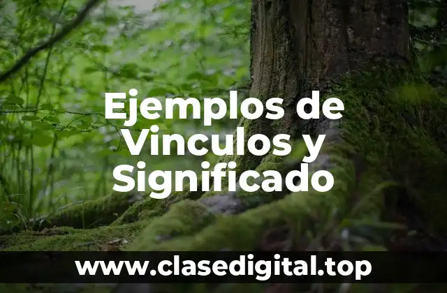 Ejemplos de Vinculos y Significado