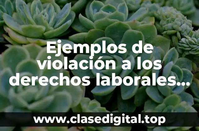 Ejemplos de violación a los derechos laborales en Juárez Blueberry y Significado