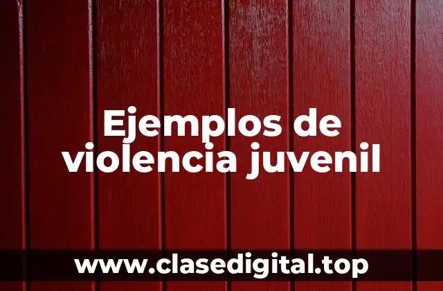 Ejemplos de violencia juvenil