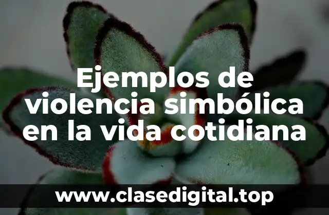 Ejemplos de violencia simbólica en la vida cotidiana