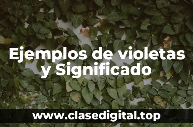 Ejemplos de violetas y Significado