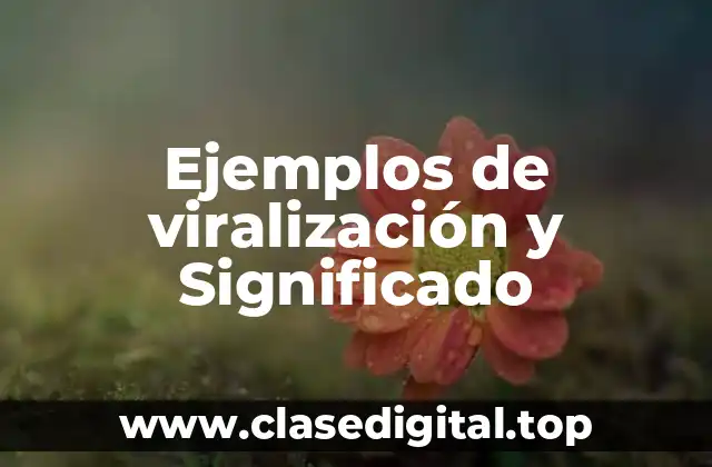 Ejemplos de viralización y Significado