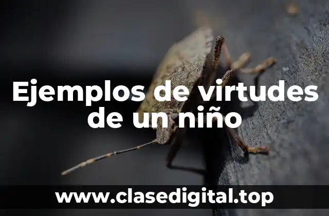 Ejemplos de virtudes de un niño