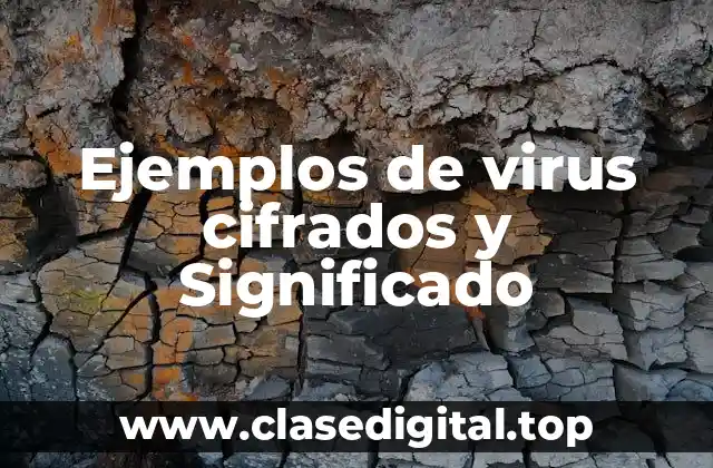 Ejemplos de virus cifrados y Significado