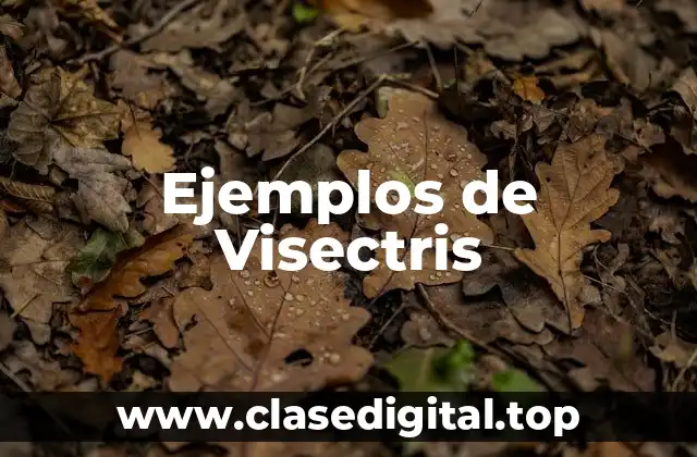 Ejemplos de Visectris