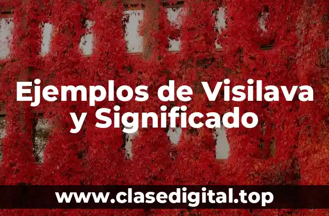 Ejemplos de Visilava y Significado