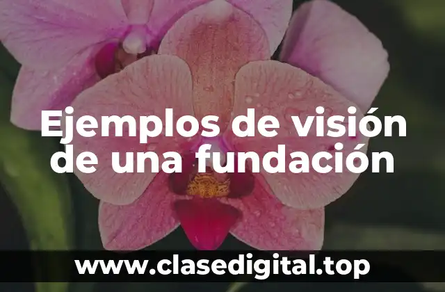 Ejemplos de visión de una fundación