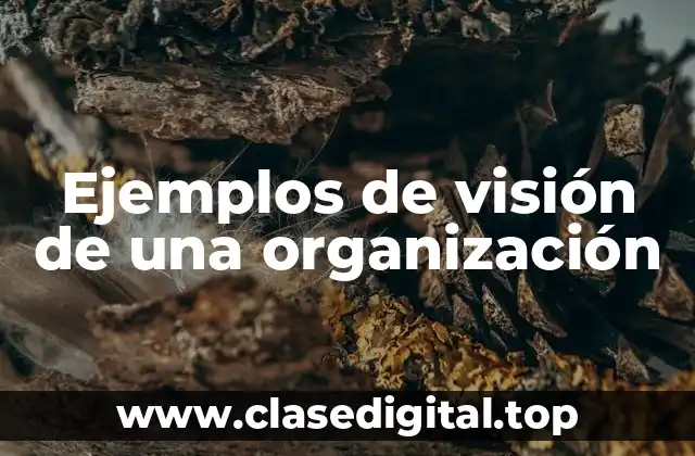 Ejemplos de visión de una organización