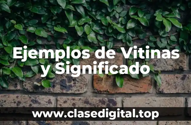 Ejemplos de Vitinas y Significado