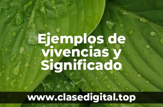 Ejemplos de vivencias y Significado
