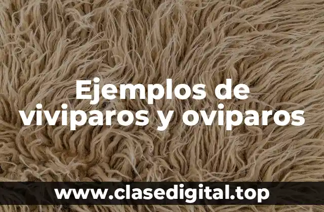 Ejemplos de viviparos y oviparos