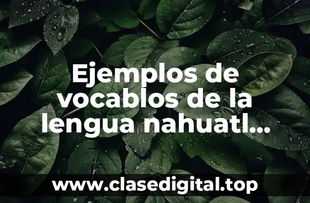 Ejemplos de vocablos de la lengua nahuatl incorporados al español.