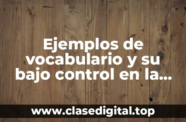 Ejemplos de vocabulario y su bajo control en la redacción