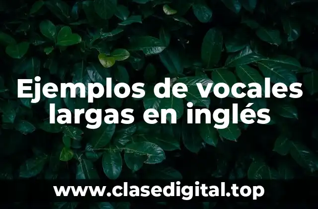 Ejemplos de vocales largas en inglés