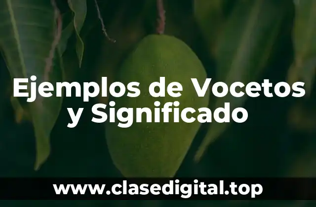 Ejemplos de Vocetos y Significado