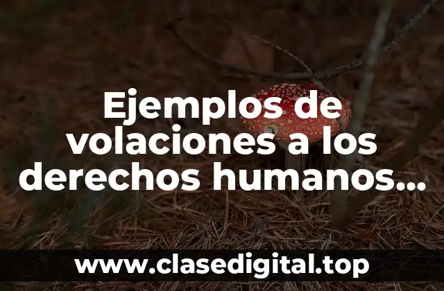 Ejemplos de volaciones a los derechos humanos para realizar un escrito