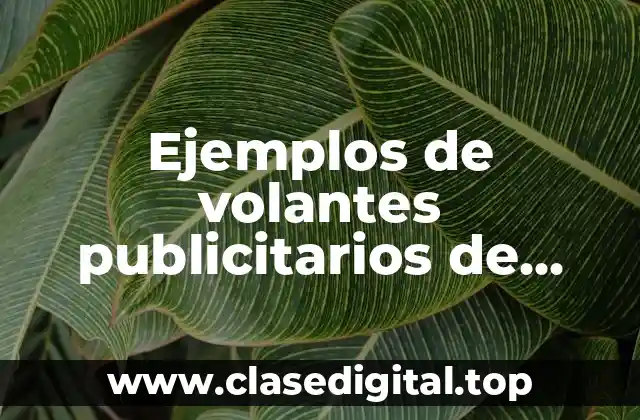 Ejemplos de volantes publicitarios de papelerias en blanco y negro