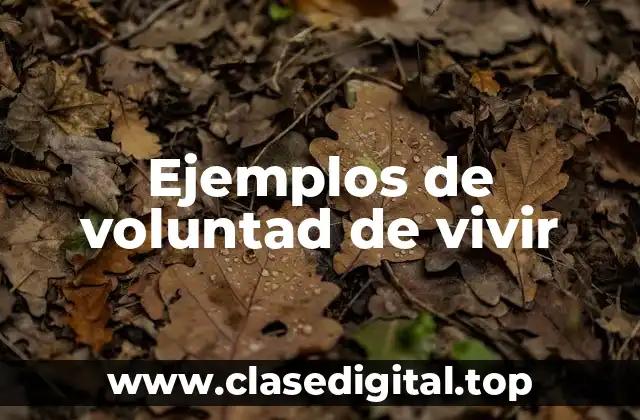 Ejemplos de voluntad de vivir