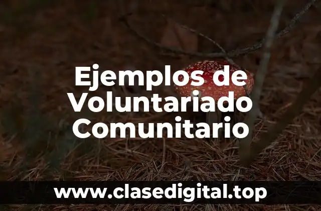 Ejemplos de Voluntariado Comunitario