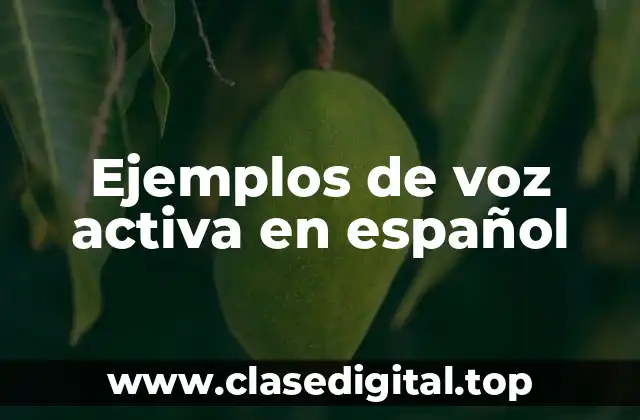 Ejemplos de voz activa en español