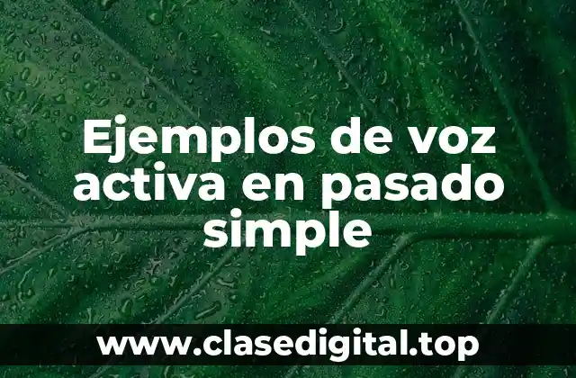 Ejemplos de voz activa en pasado simple