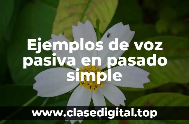 Ejemplos de voz pasiva en pasado simple