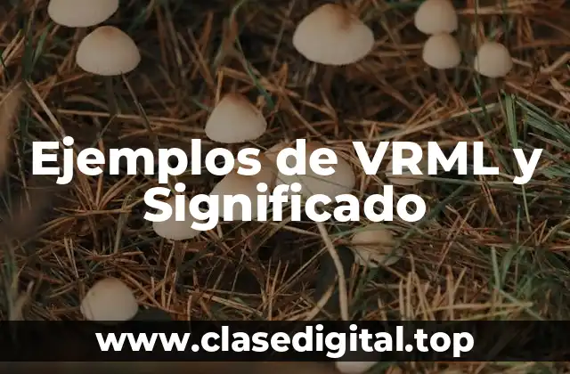 Ejemplos de VRML y Significado