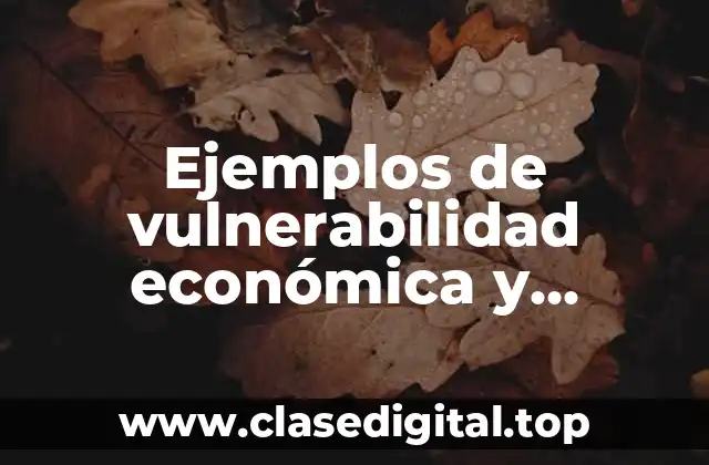 Ejemplos de vulnerabilidad económica y Significado