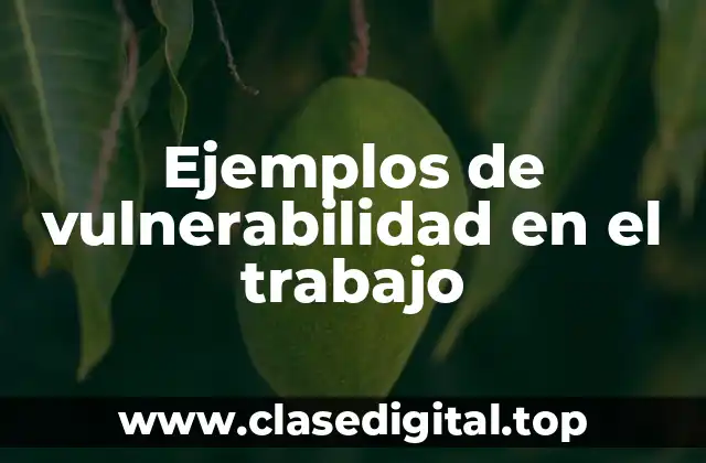 Ejemplos de vulnerabilidad en el trabajo