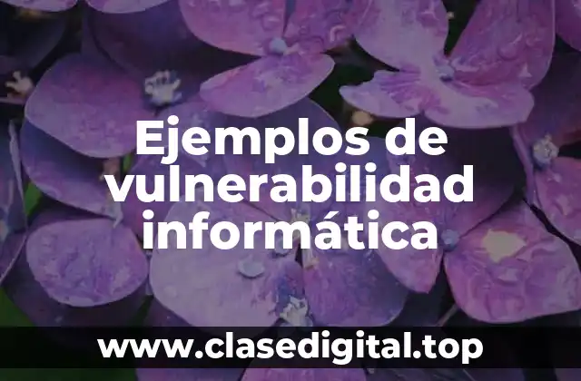 Ejemplos de vulnerabilidad informática