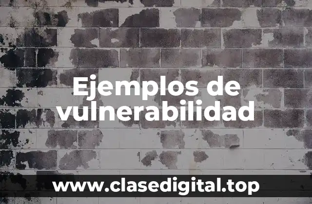 Ejemplos de vulnerabilidad