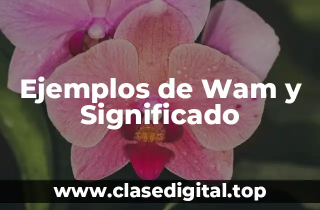Ejemplos de Wam y Significado