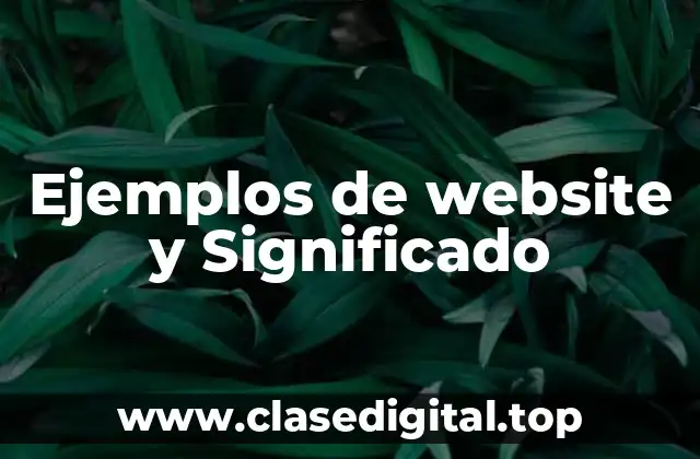 Ejemplos de website y Significado