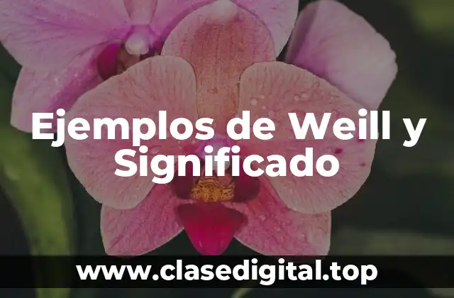 Ejemplos de Weill y Significado