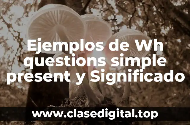 Ejemplos de Wh questions simple present y Significado