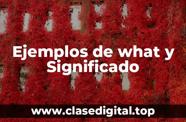 Ejemplos de what