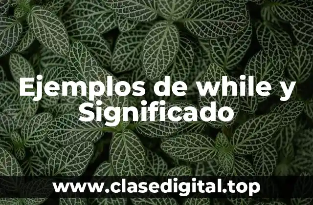 Ejemplos de while y Significado