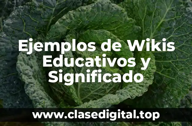 Ejemplos de Wikis Educativos y Significado
