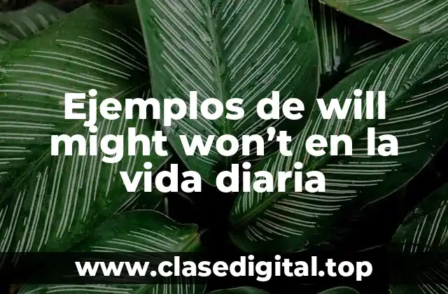 Ejemplos de will might won’t en la vida diaria