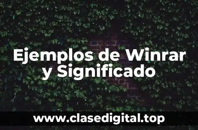 Ejemplos de Winrar y Significado